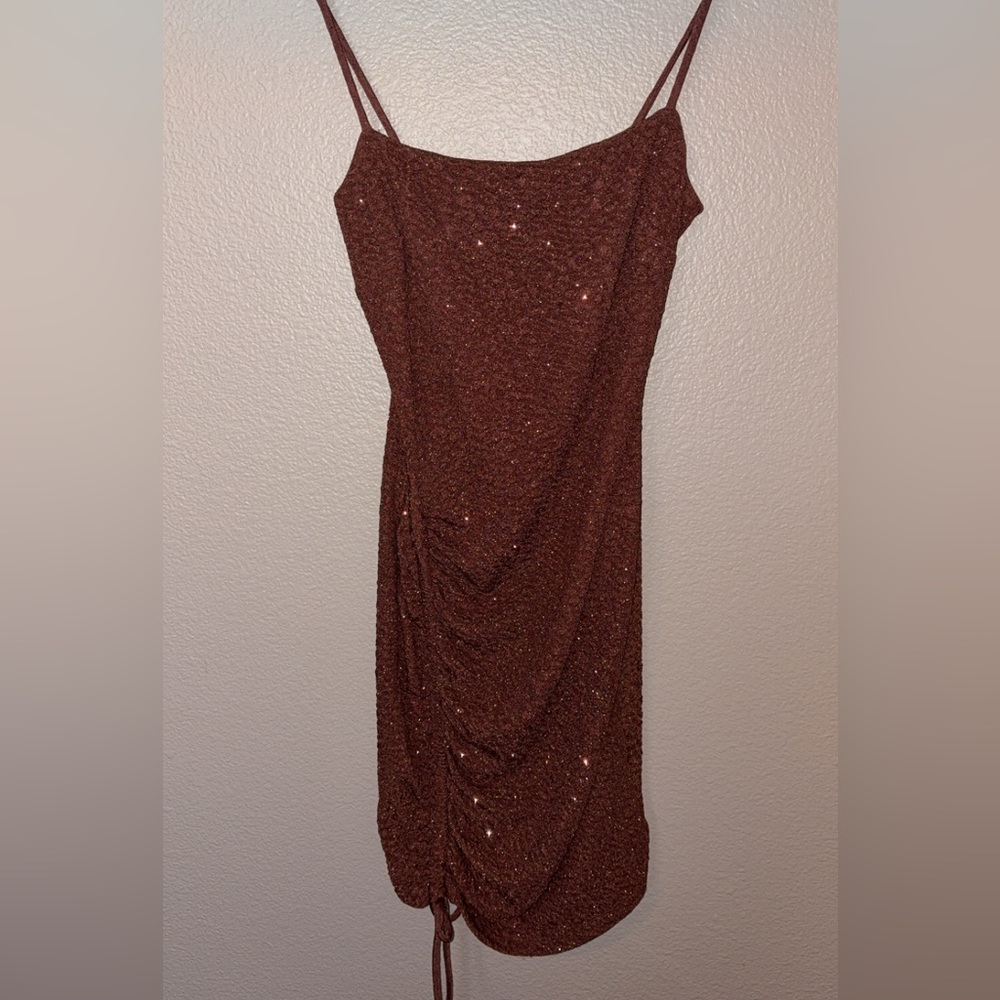 Windsor Sparkling Brown Dress